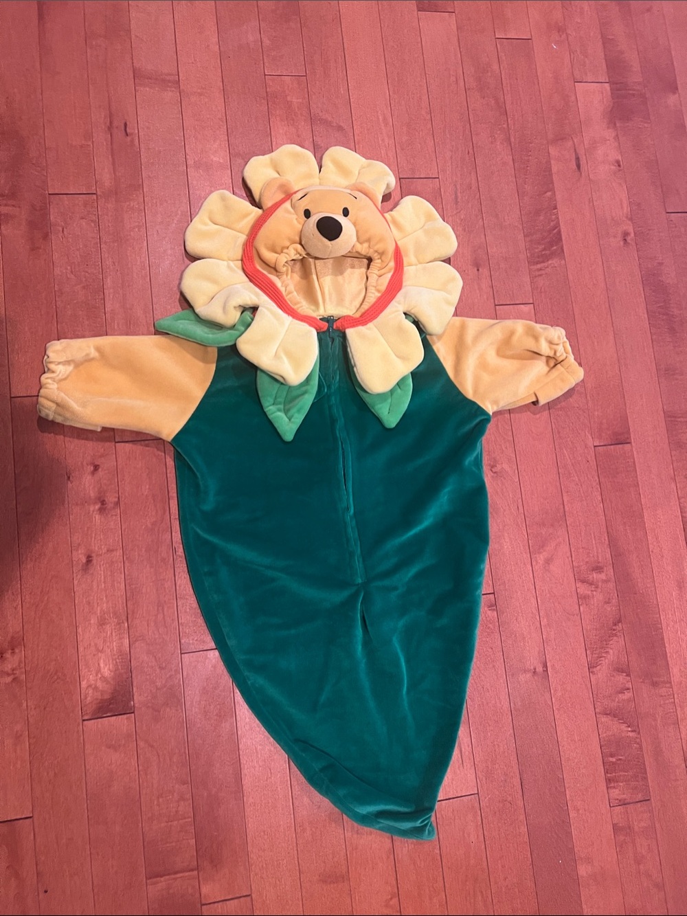 Disney Yellow and Green Winnie the Pooh Flower Costume